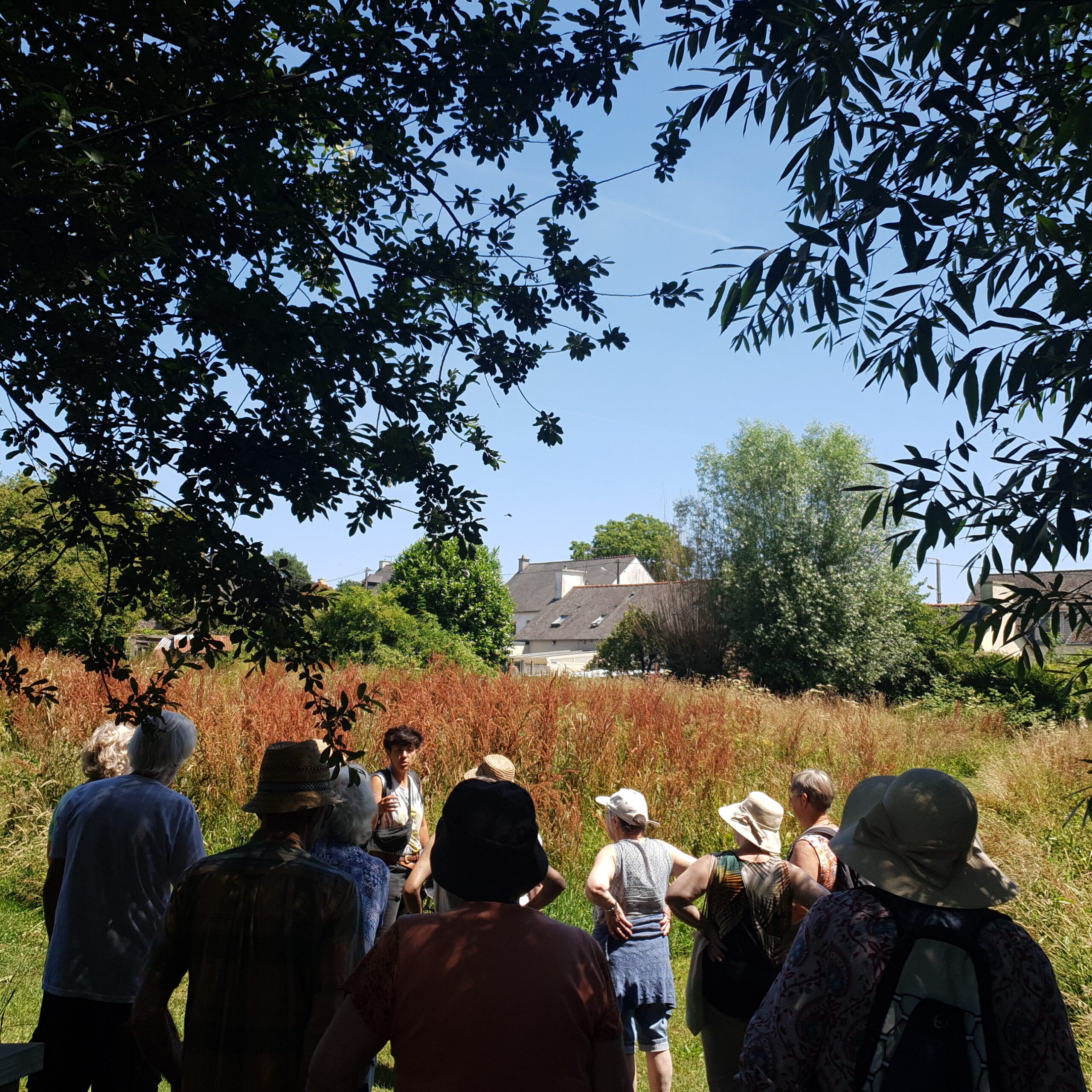 Bretagne et Pays de La Loire - Vitalité Naturellement