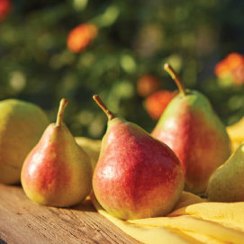 Gâteau surprenant aux poires