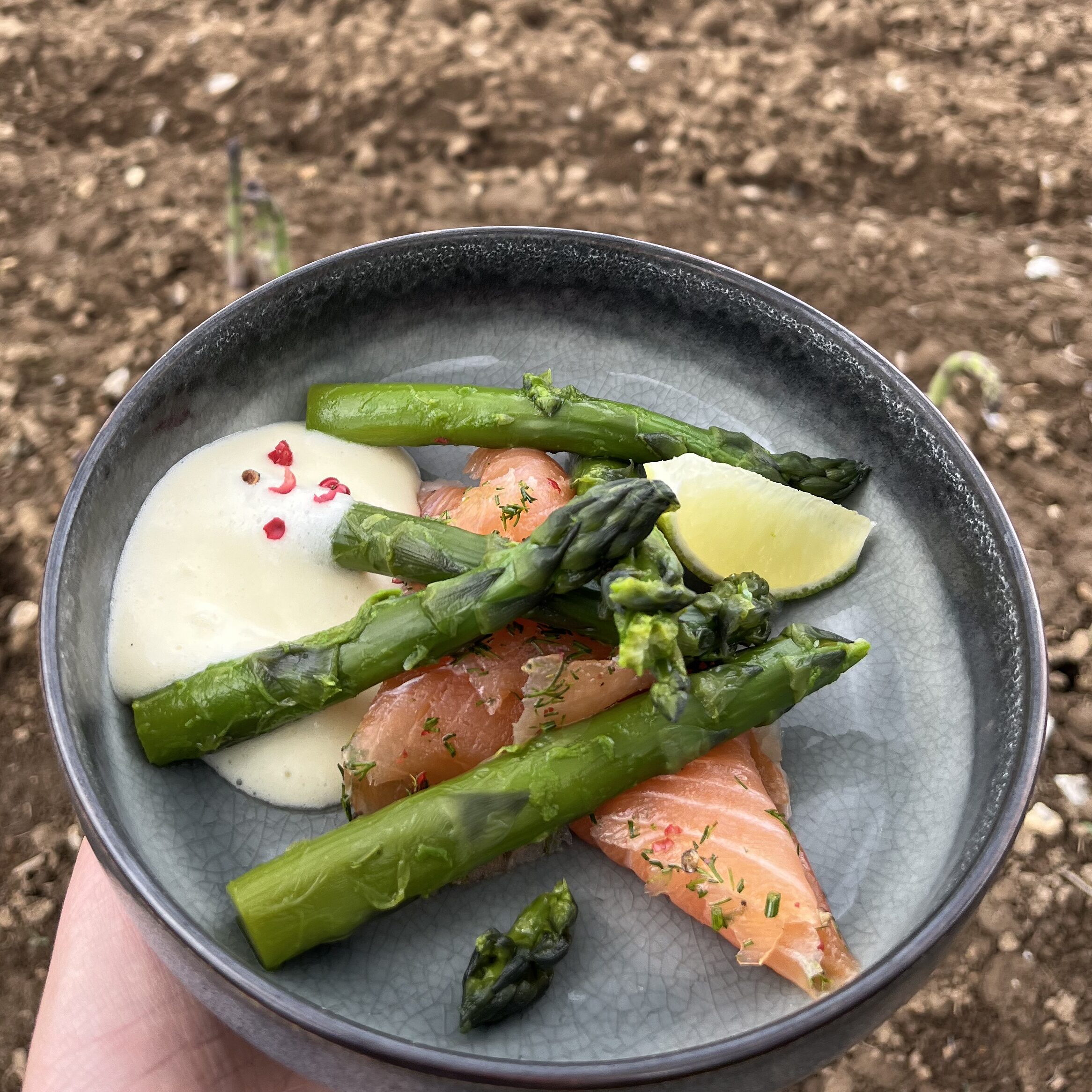 Prévention, cuisine et convivialité pour les seniors du Pas-de-Calais